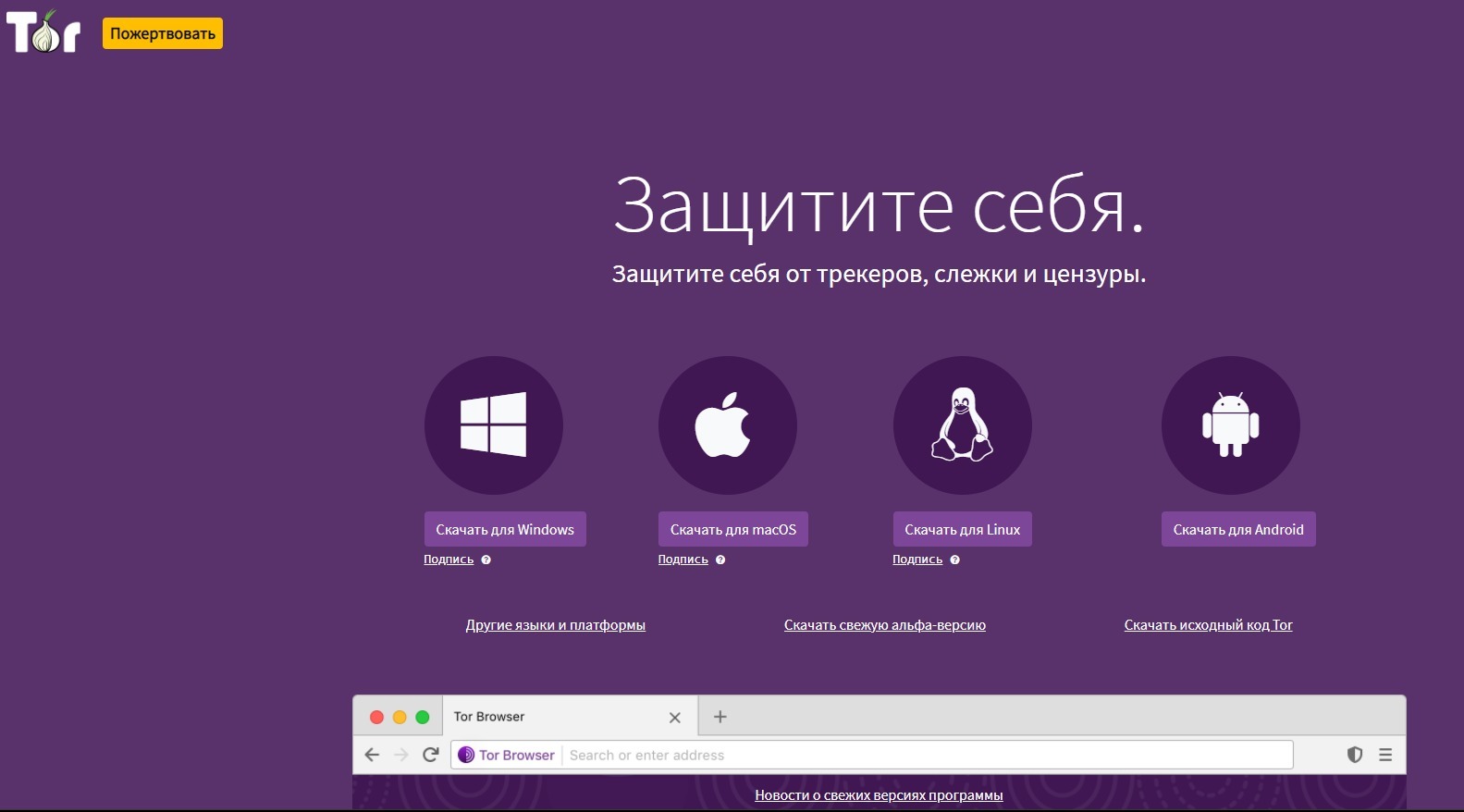 Кракен сайт как выглядит