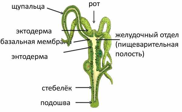 Почему кракен не блокируют